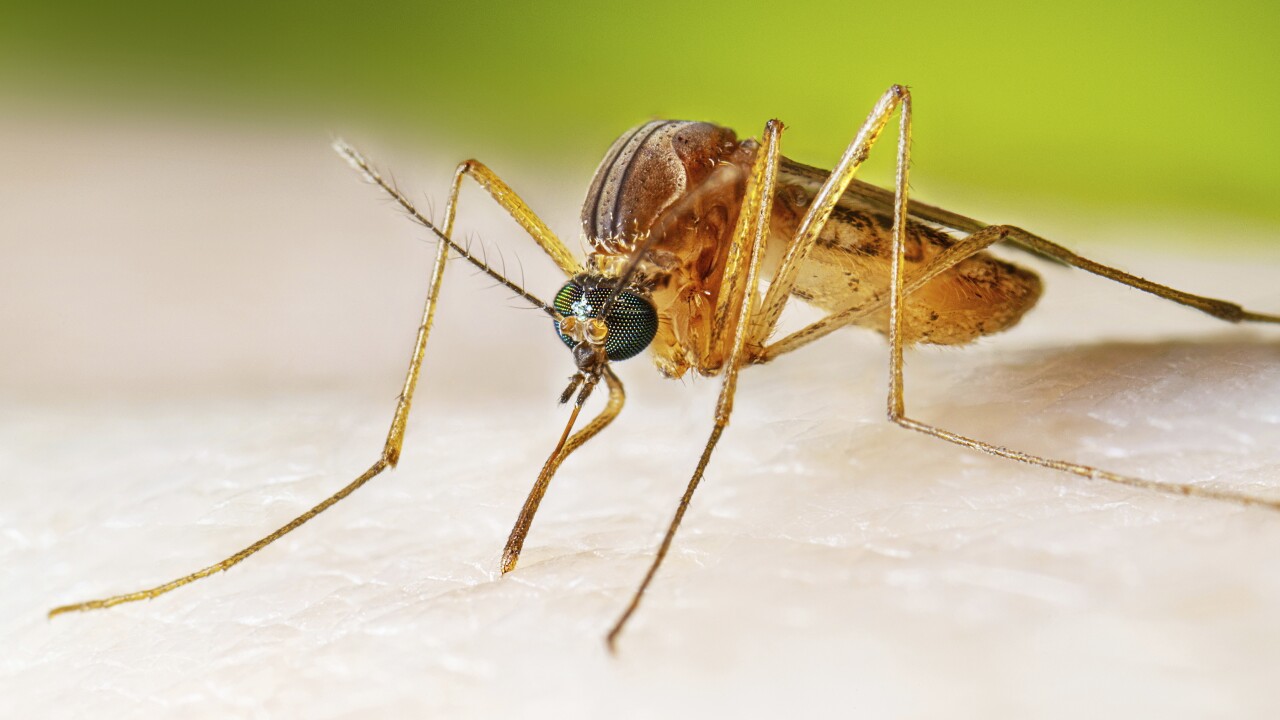 West Nile Virus