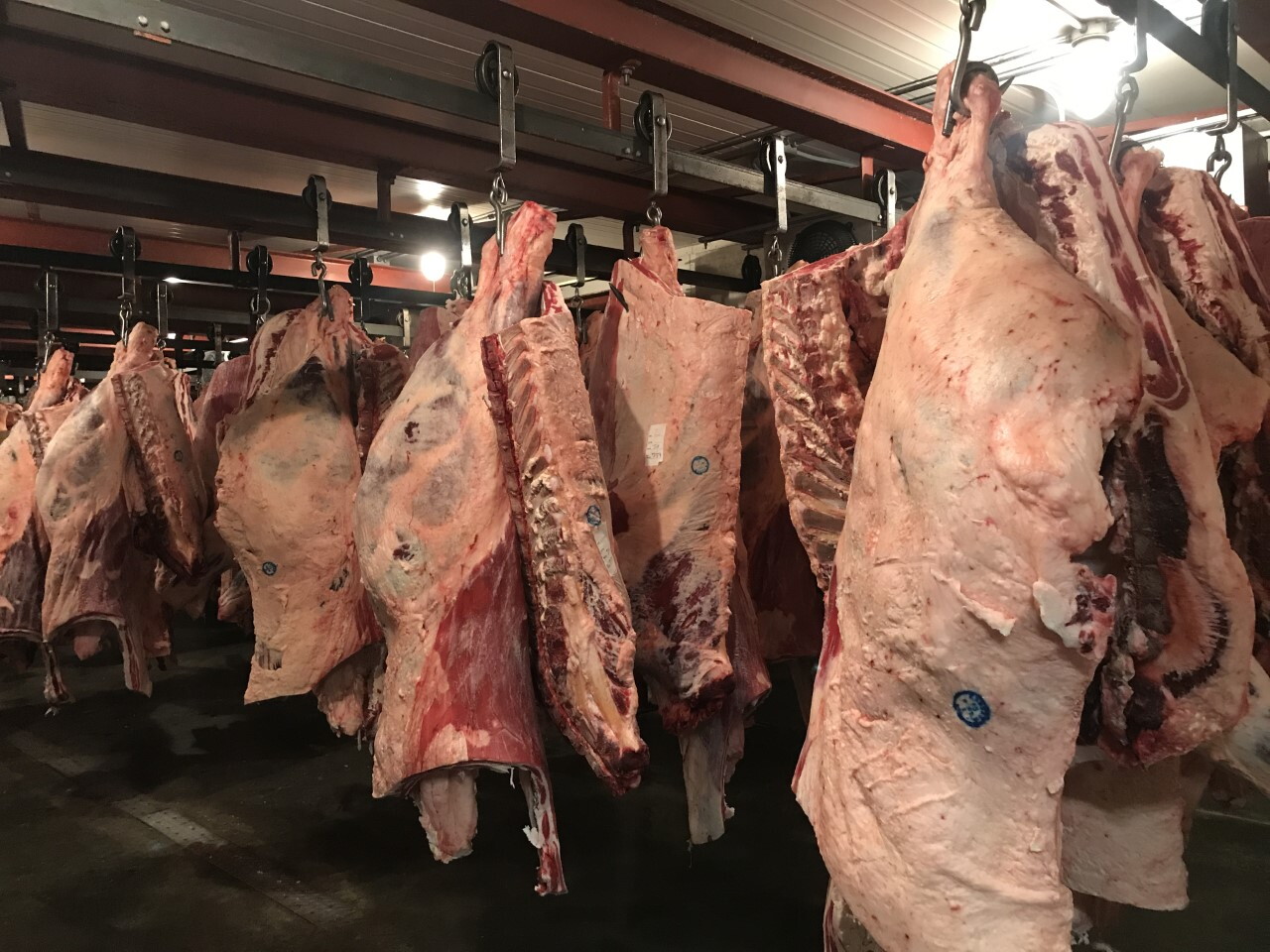 Beef Racks