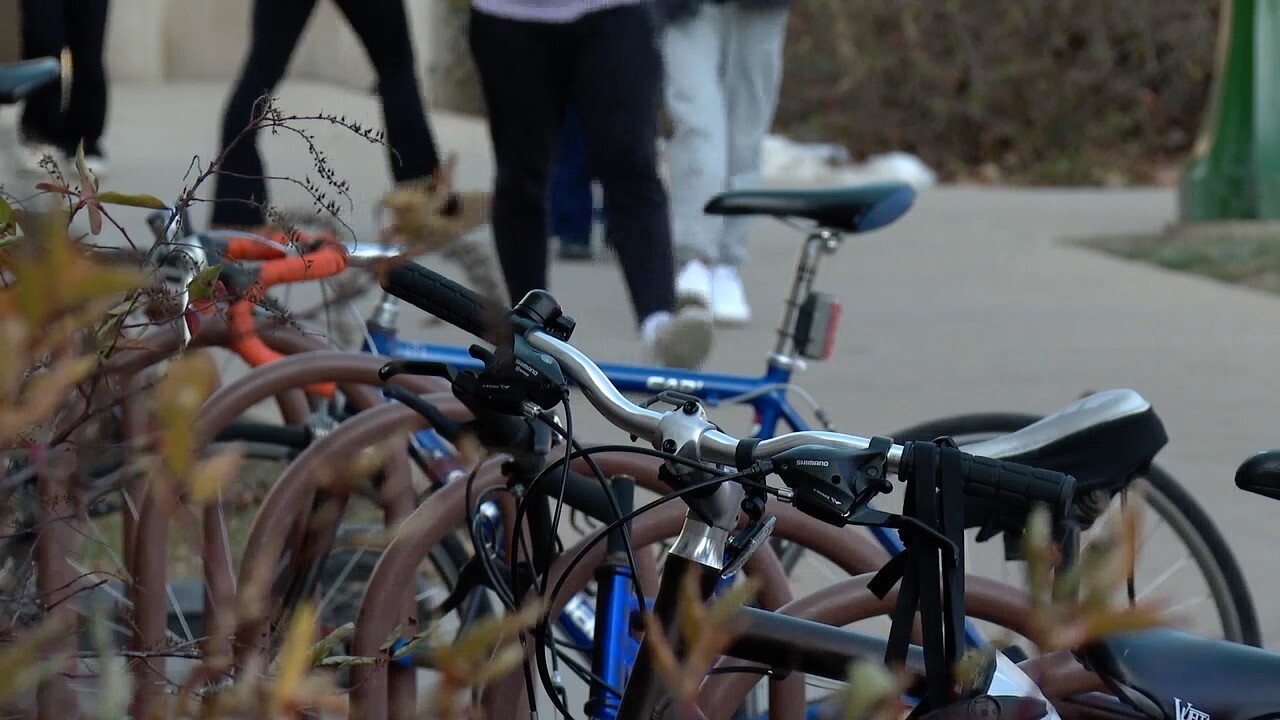 iu bait bikes 5.jpg