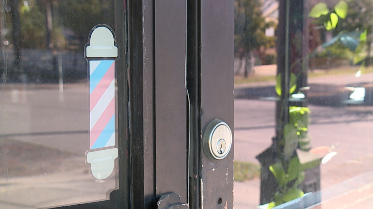 Bobby Pin Hair Gallery Ybor Rochelle Alleyene.png