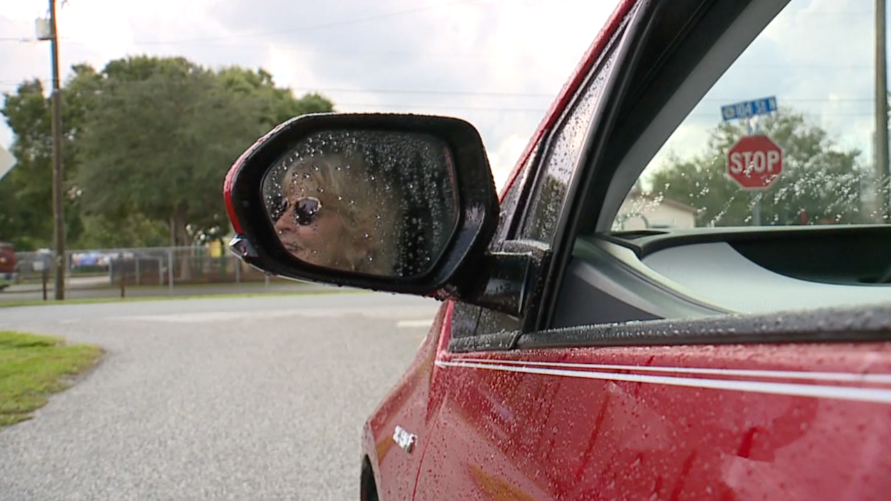 Orange Grove Elementary carline 2.png