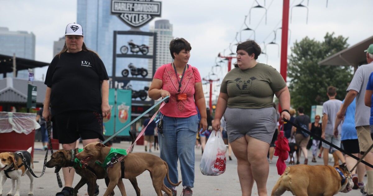 Petfest Cancels 2020 Festival Due To Coronavirus To Return In 2021