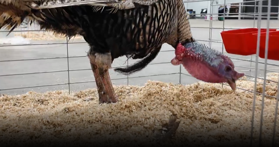 Screenshot 2025-08-14 220830.png