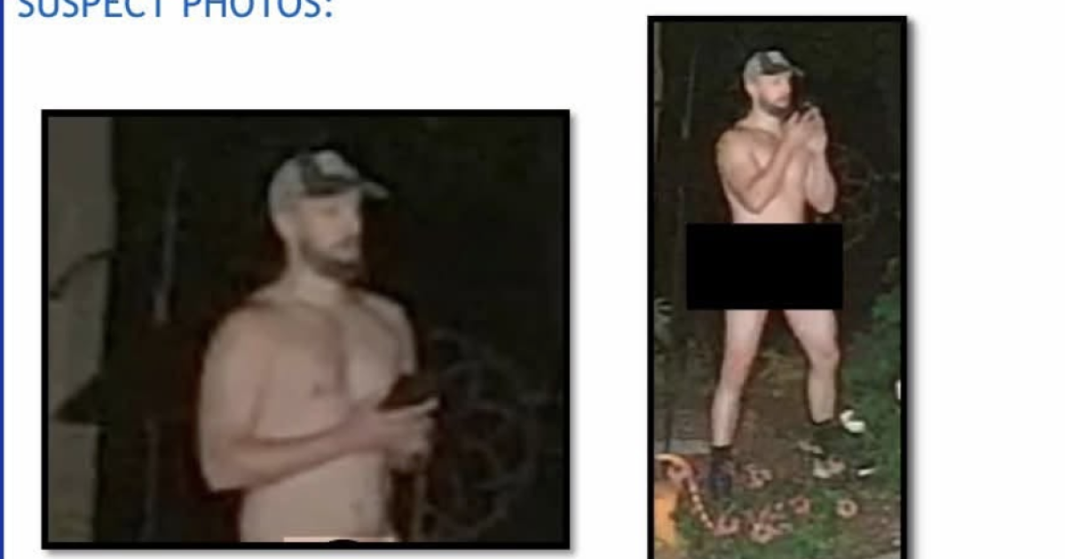 Police search for naked Peeping Tom from incident in Northville Township