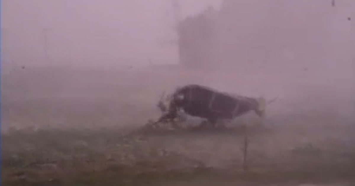 'There goes the trampoline'; Storm damage, power outages in southwest Michigan