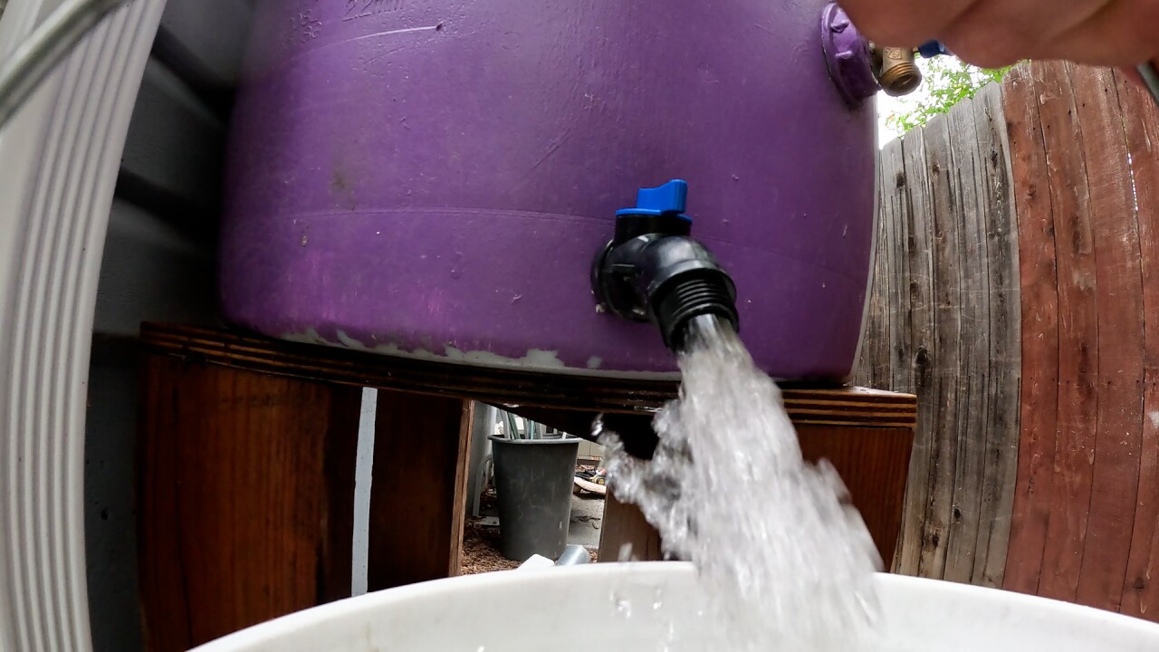 rain barrel.jpg