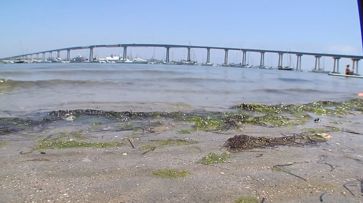 Coronado Bridge and beach
