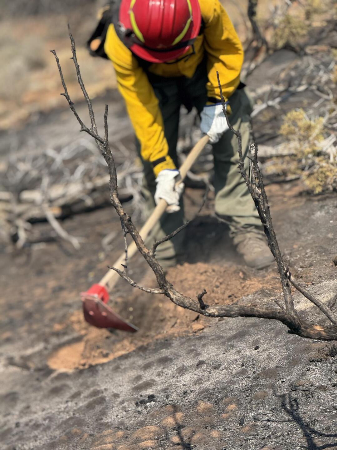 sowbelly fire firefighter.jpg