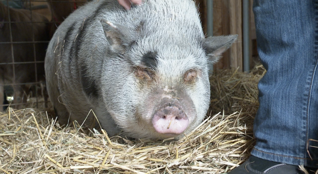 Screen Shot 2024-01-30 at 3.28.53 PM.png