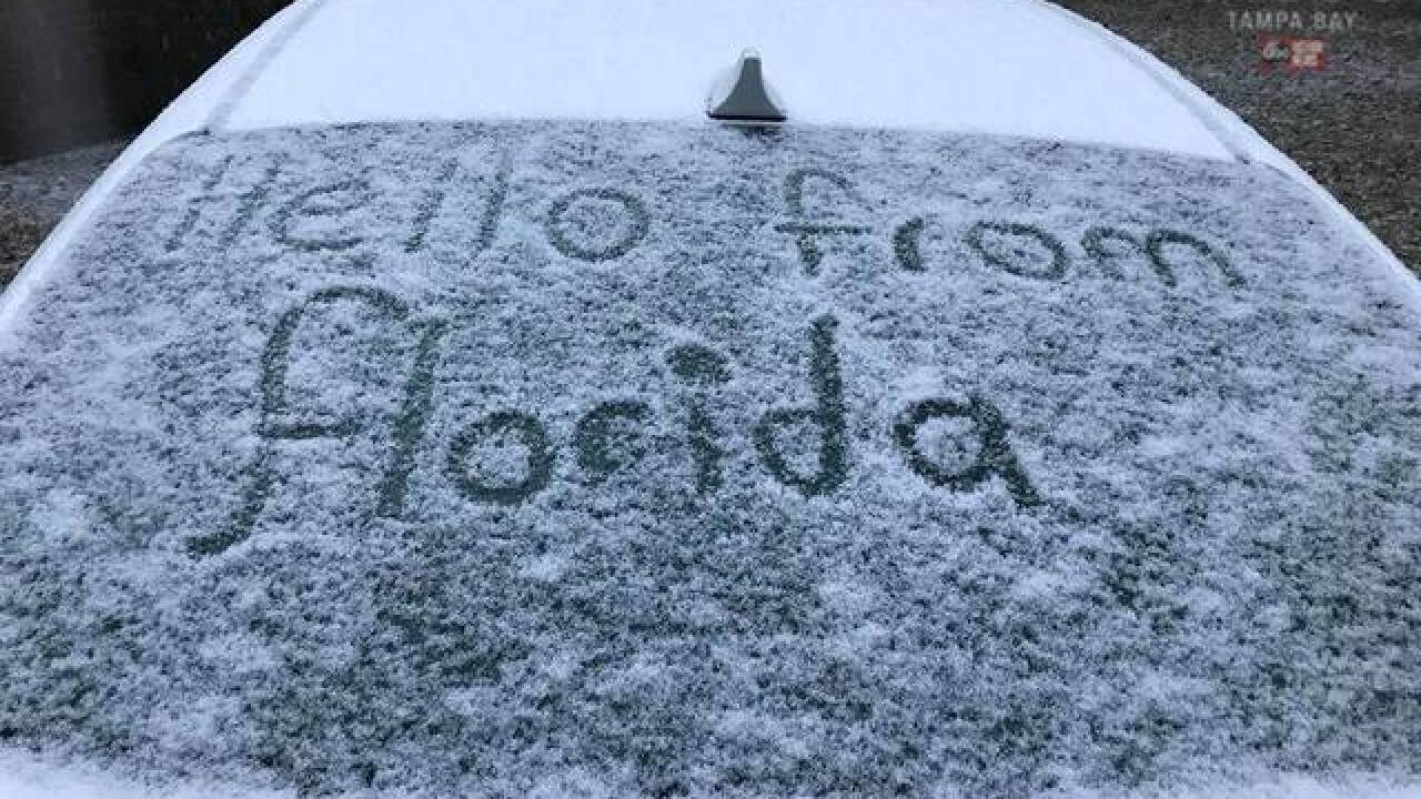 When Was The Last Time It Snowed In Florida 2025 Season Madel Kailey When was the last time it snowed in florida 2025 season madel kailey