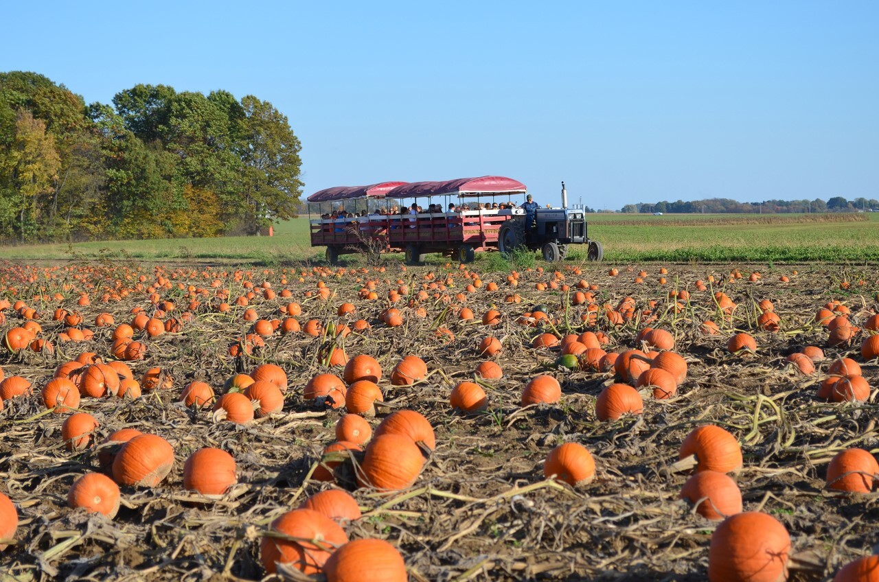 Ramseyer farms.jpg