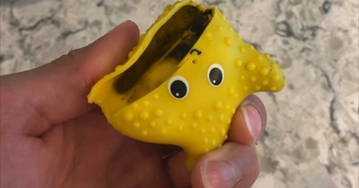 Mold found inside kids' bath toys, what parents should know