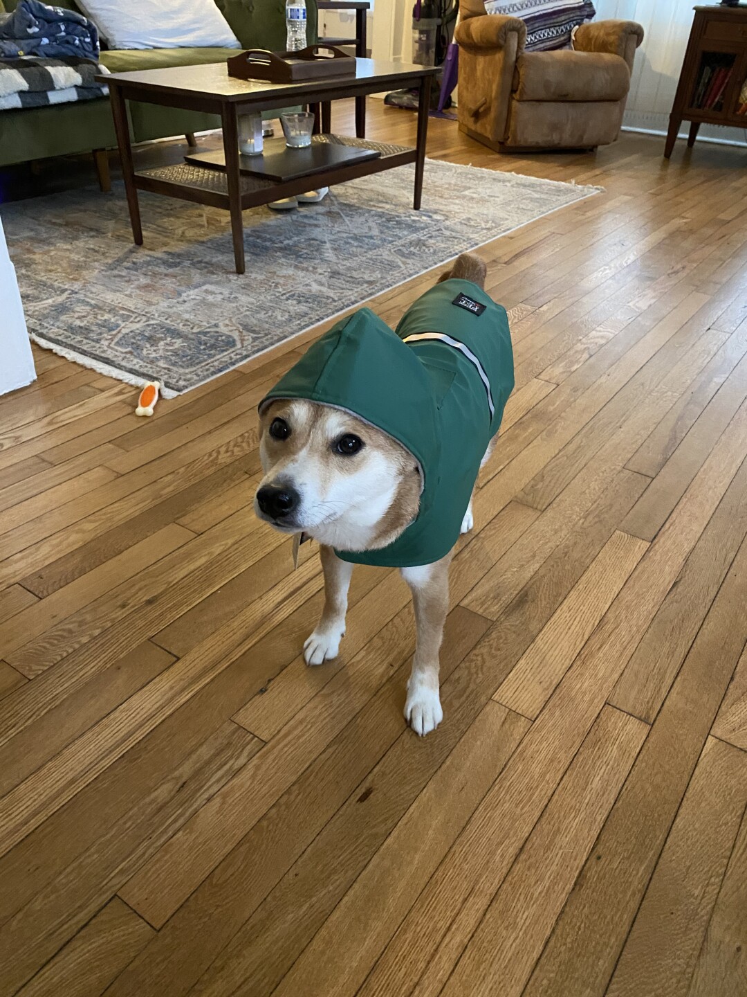 friday siobhan bryson.jpeg