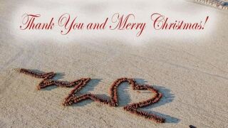 Cattle Art drone image