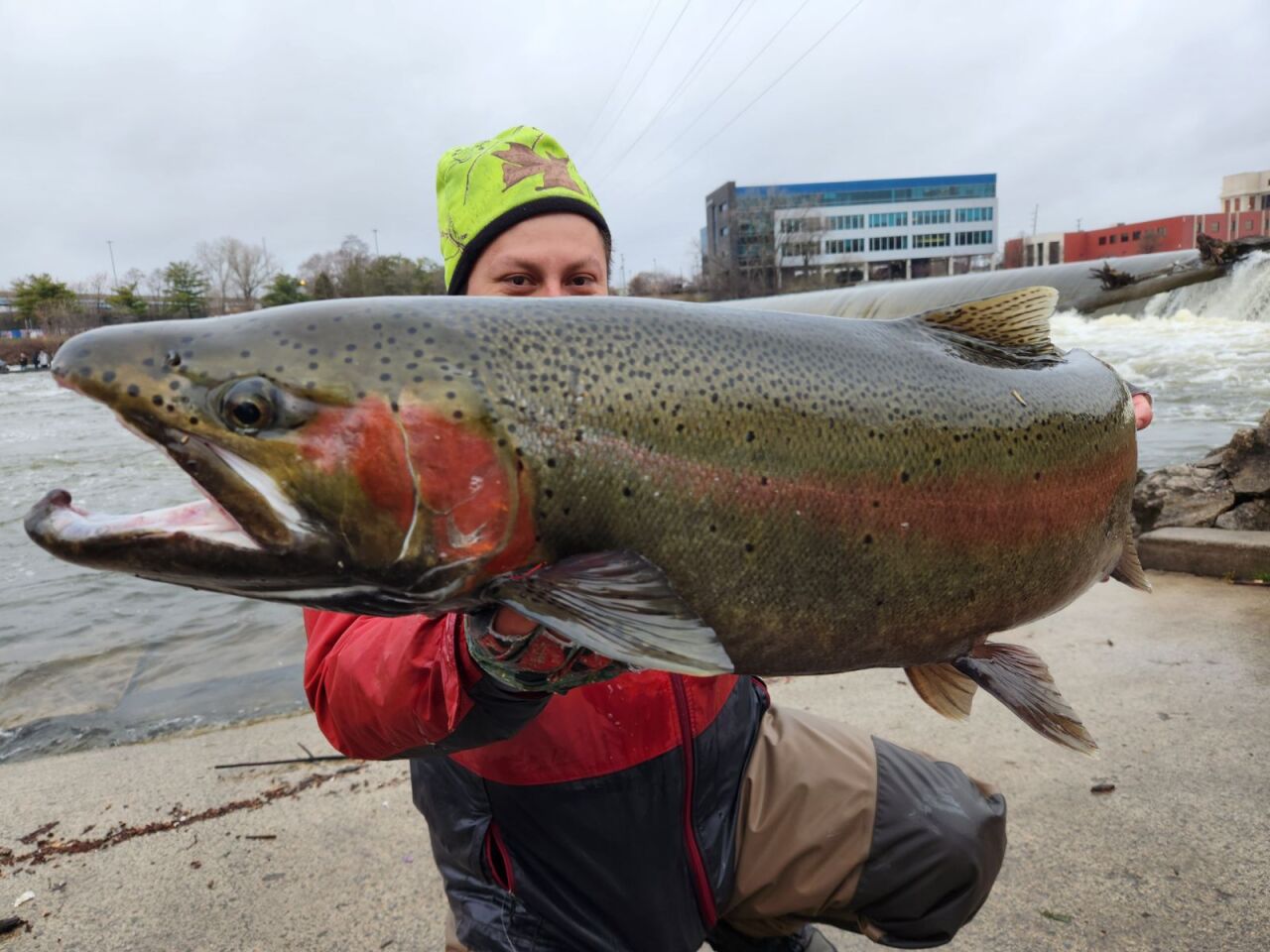 massive fish caught in Grand River