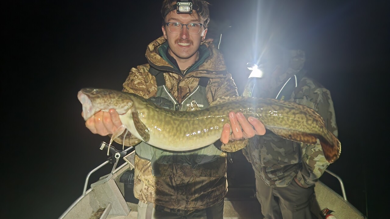 Burbot.jpeg