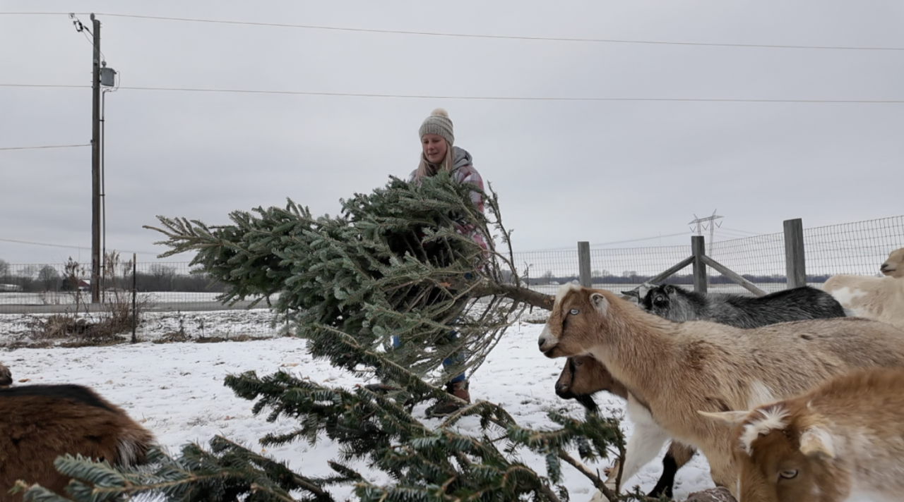 Screenshot 2026-01-02 at 6.09.31 PM.png