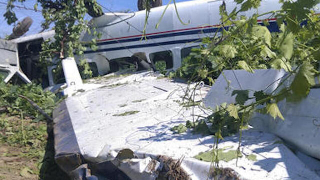 17 skydivers survive plane crash in Calif.