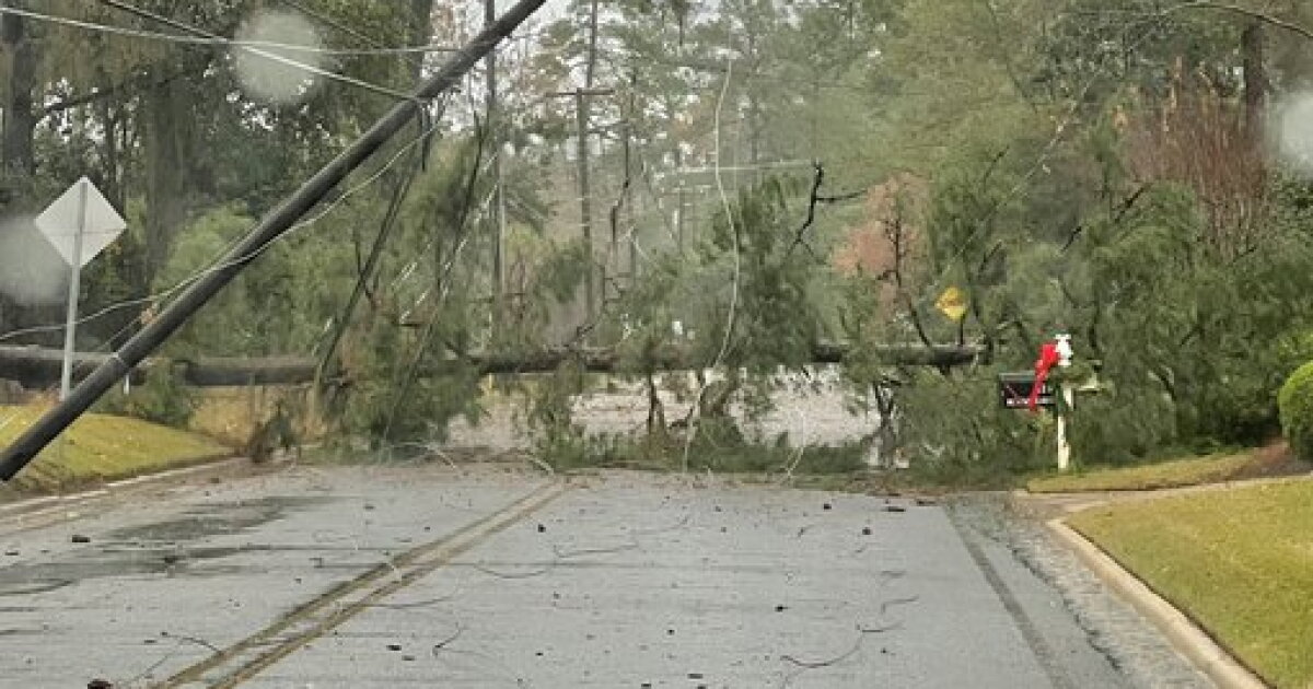 PHOTOS: Severe weather damages Big Bend, South Georgia neighborhoods - Vimarsana News