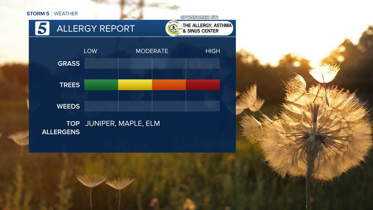 2020 Pollen Left.png