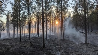 Marion Wildfire