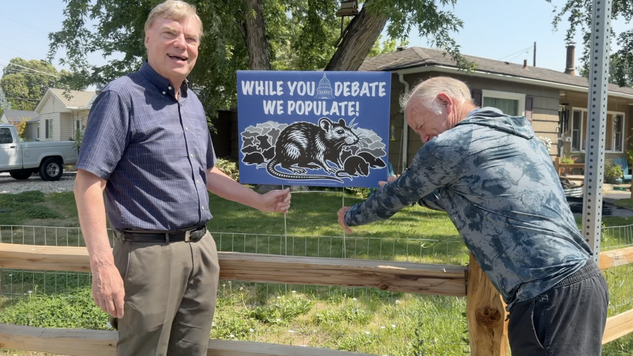 Rat Yard Signs