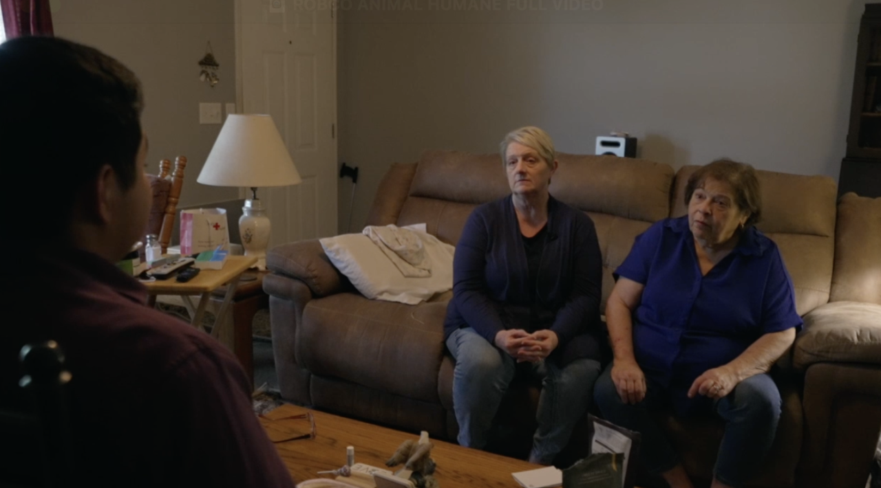 'It's not a joke anymore': Local residents demand solutions against stray animal crisis in Robertson County