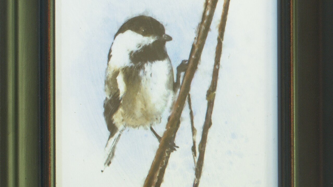 Chickadee portrait