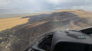 Fremont Fire.png