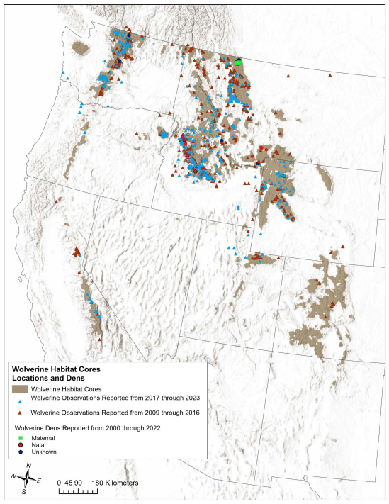 USFWS wolverine dens and habitats