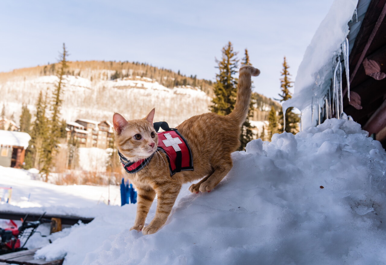 Courtesy Photo: Purgatory Resort