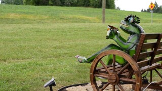 Frogtown Road