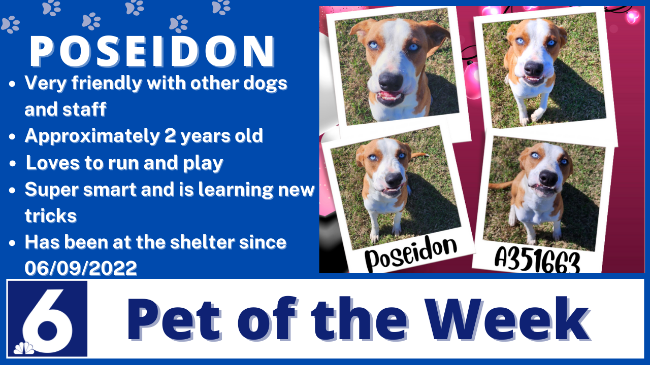 _Poseidon potw photo 1.png