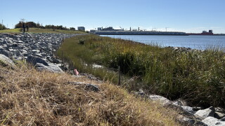 elizabeth river norfolk southern restoration