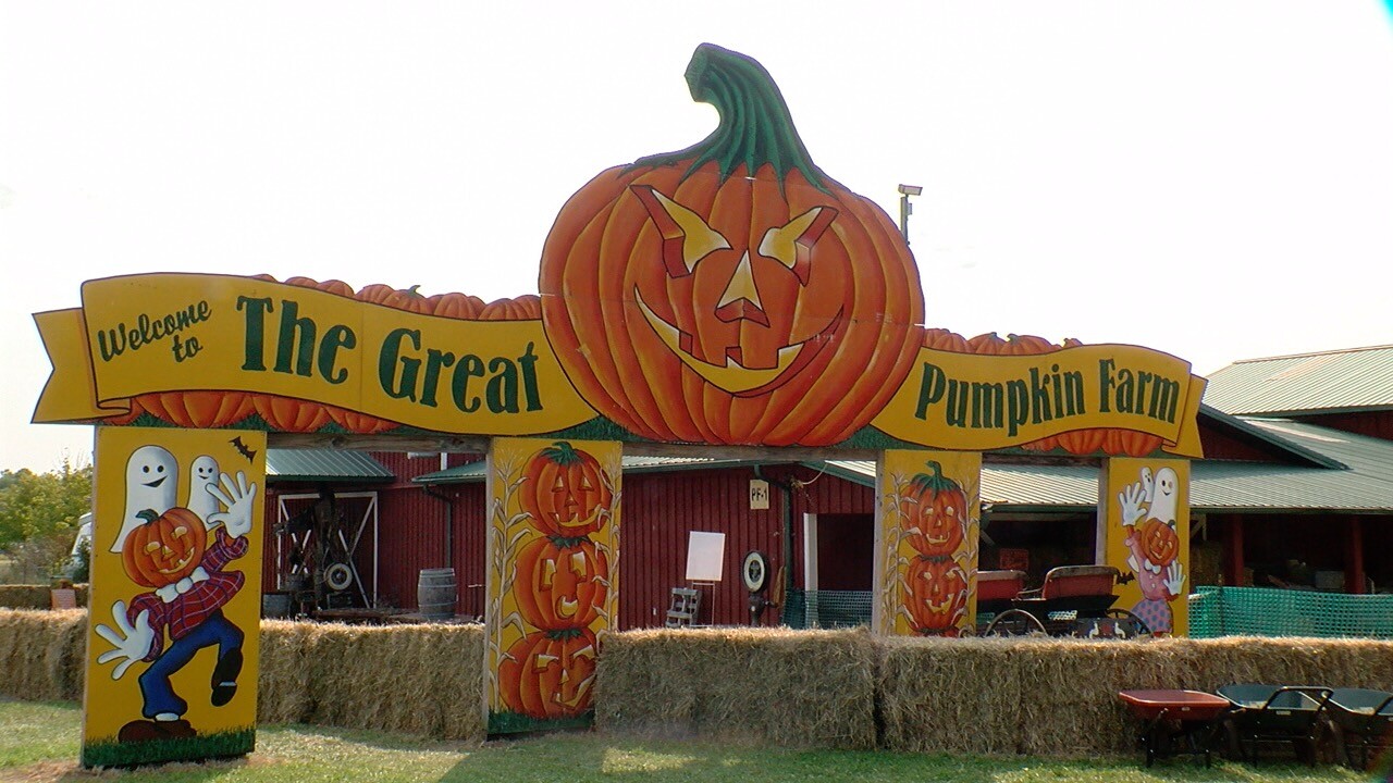 0922 WHEEL PHALLOWEEN_REILLY2.jpg
