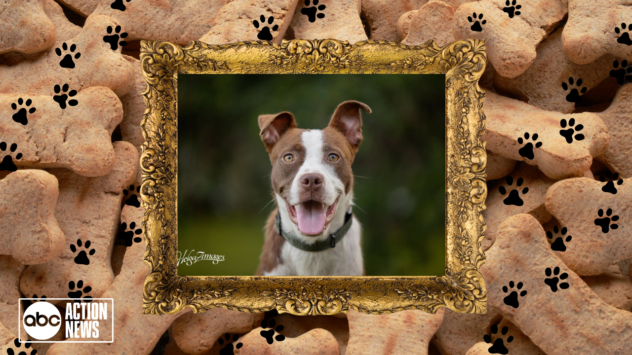 Rescues in Action Wallace