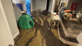 becks-basement