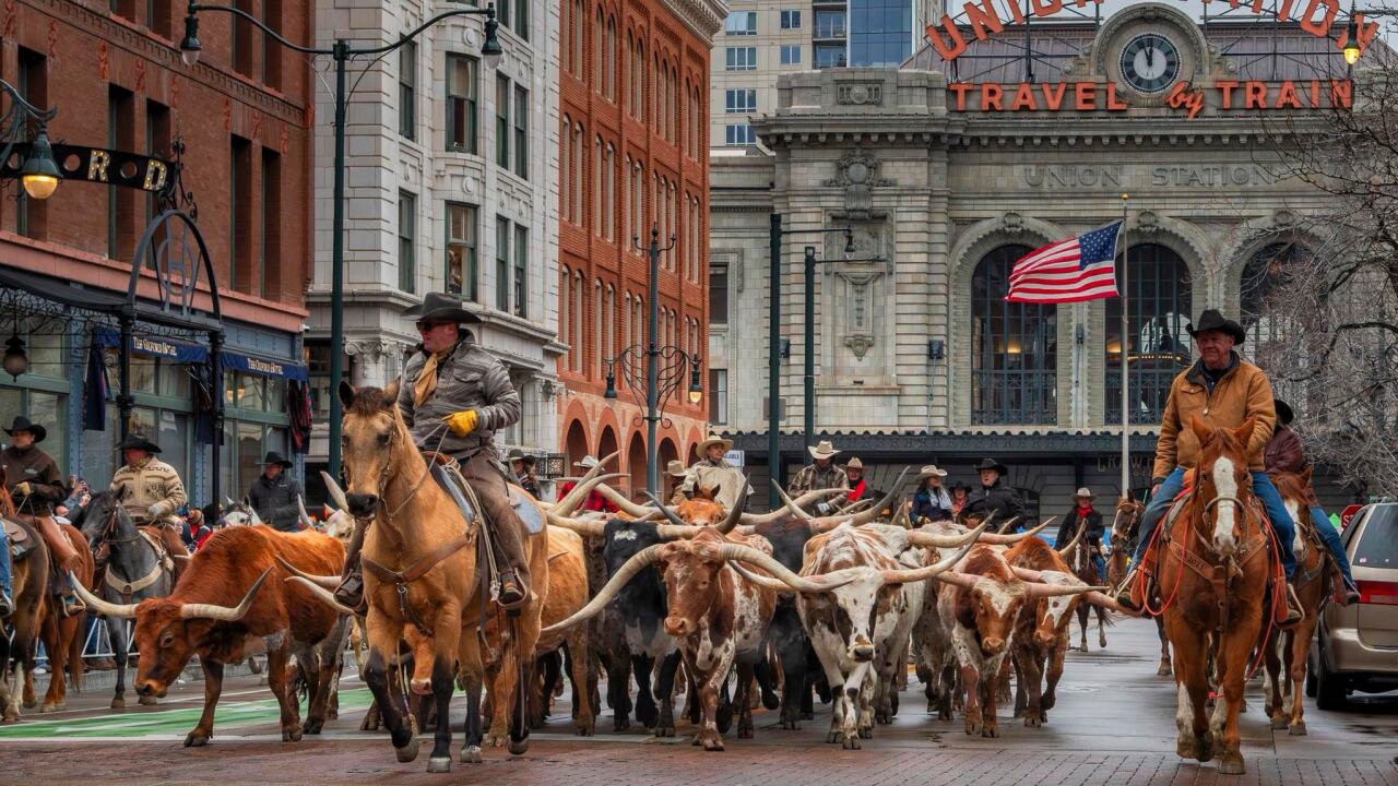 National Western Stock Show, Thursday, Jan. 8, 2026. 