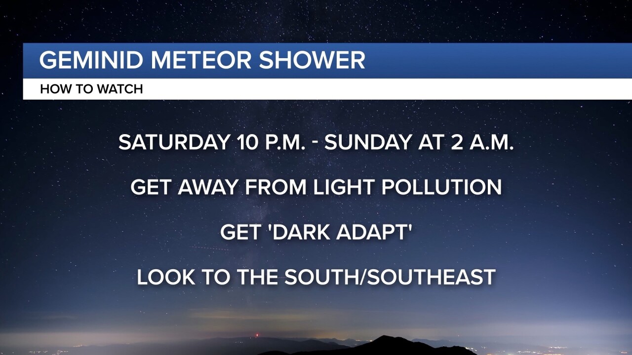 Geminid Meteor Shower