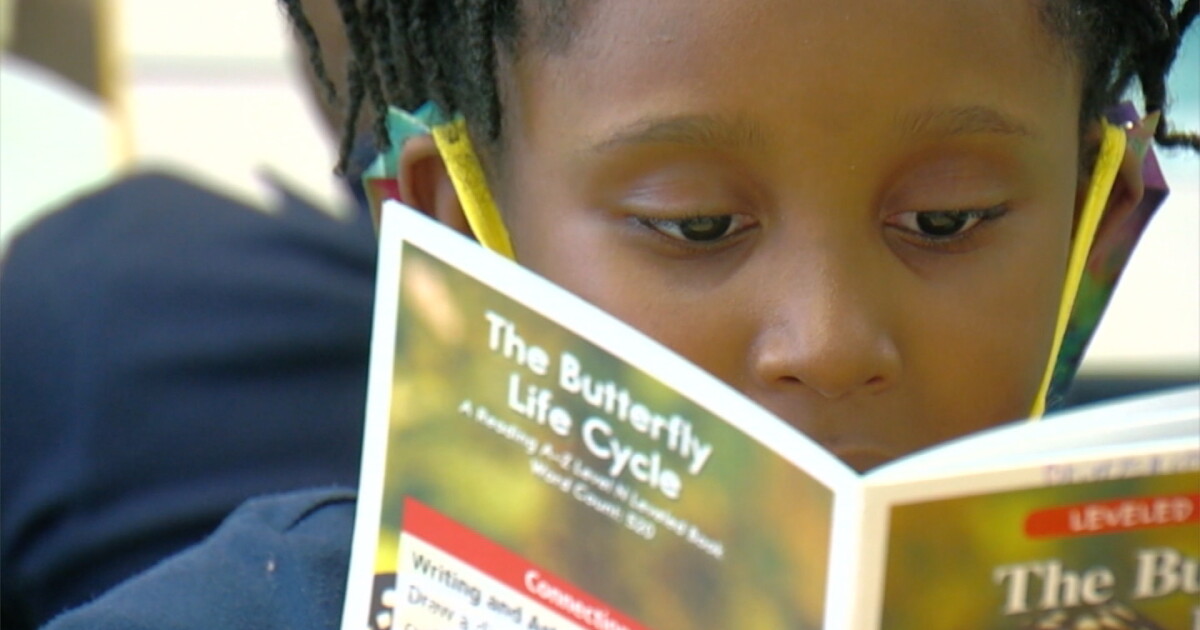 'We're thrilled': Governor proposes 'Back to Basics' to teach kids to read - Vimarsana News
