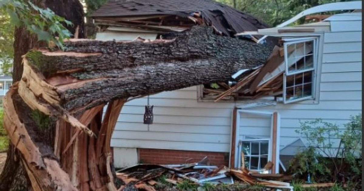 Homeowners in Newport News assess damage from storm - Vimarsana News