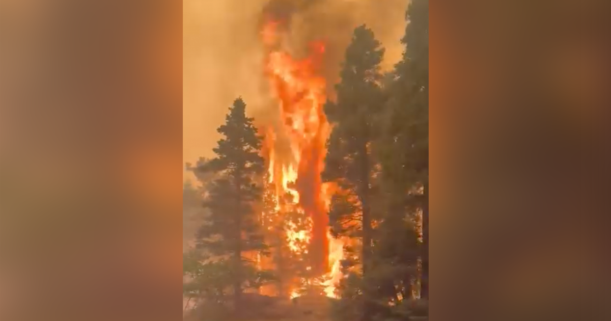 Aspen Acres Fire SW of Pueblo becomes Colorado’s largest this season Robert Garrison
