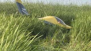 eaa plane crash.jpg