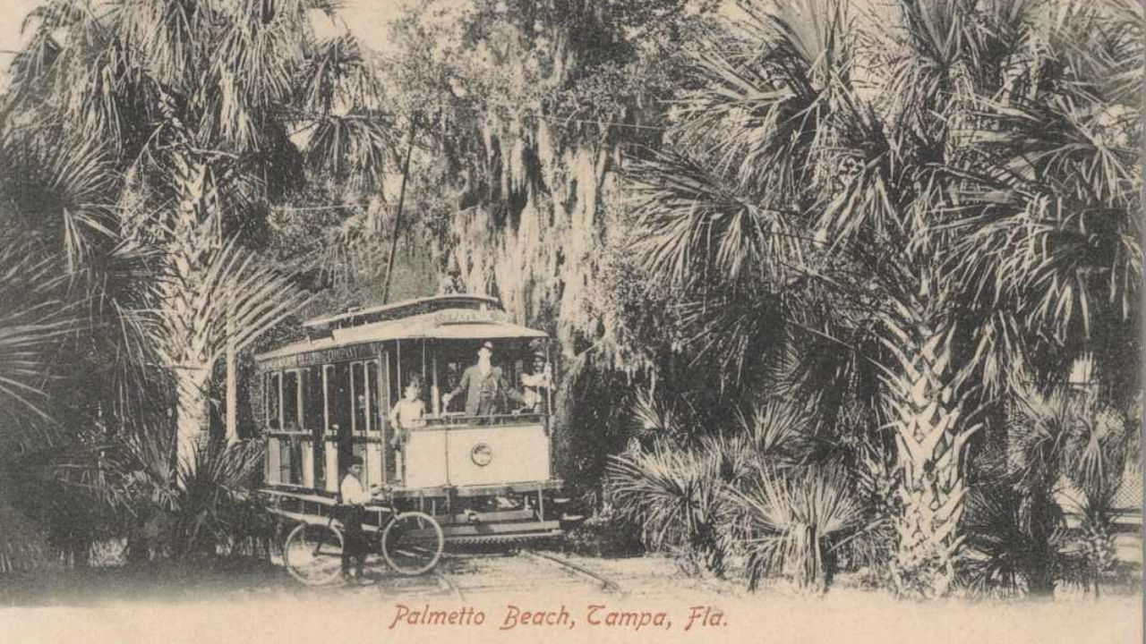 old palmetto beach 2.png