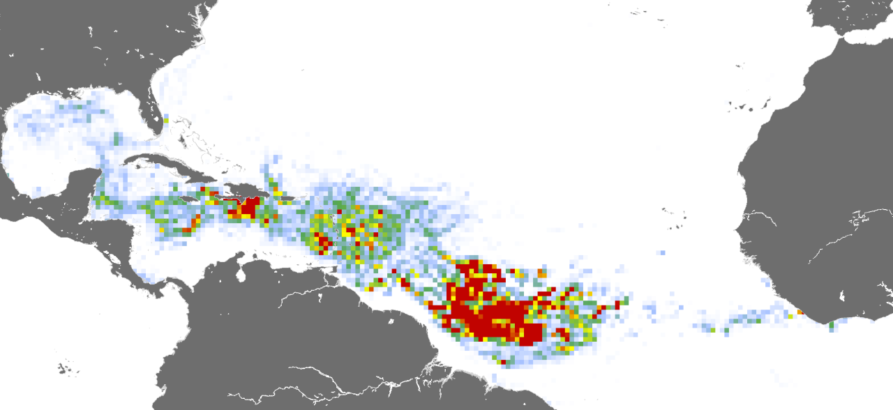 Sargassum map in May, 2023.