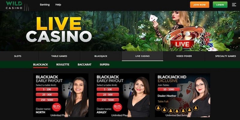 wild-casino-live-best-live-casino-online.jpg