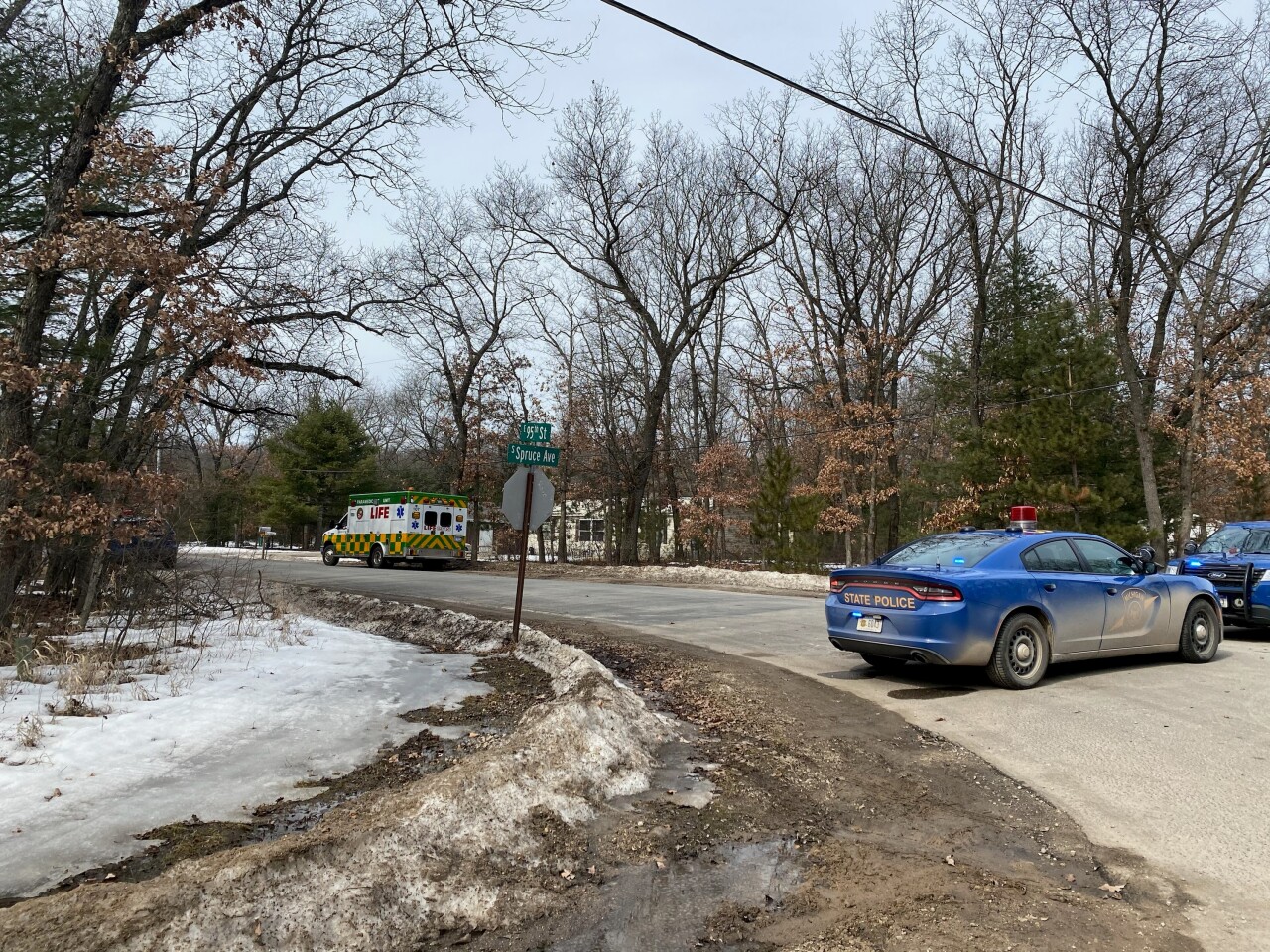 Newaygo Home search 02.jpg