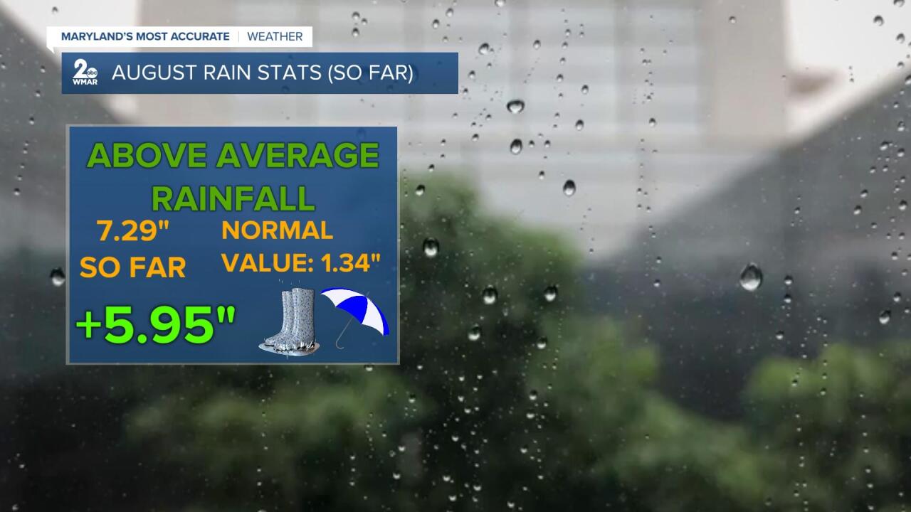 August Rain.jpg