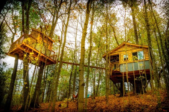 Photo: Earth Joy Tree Adventures