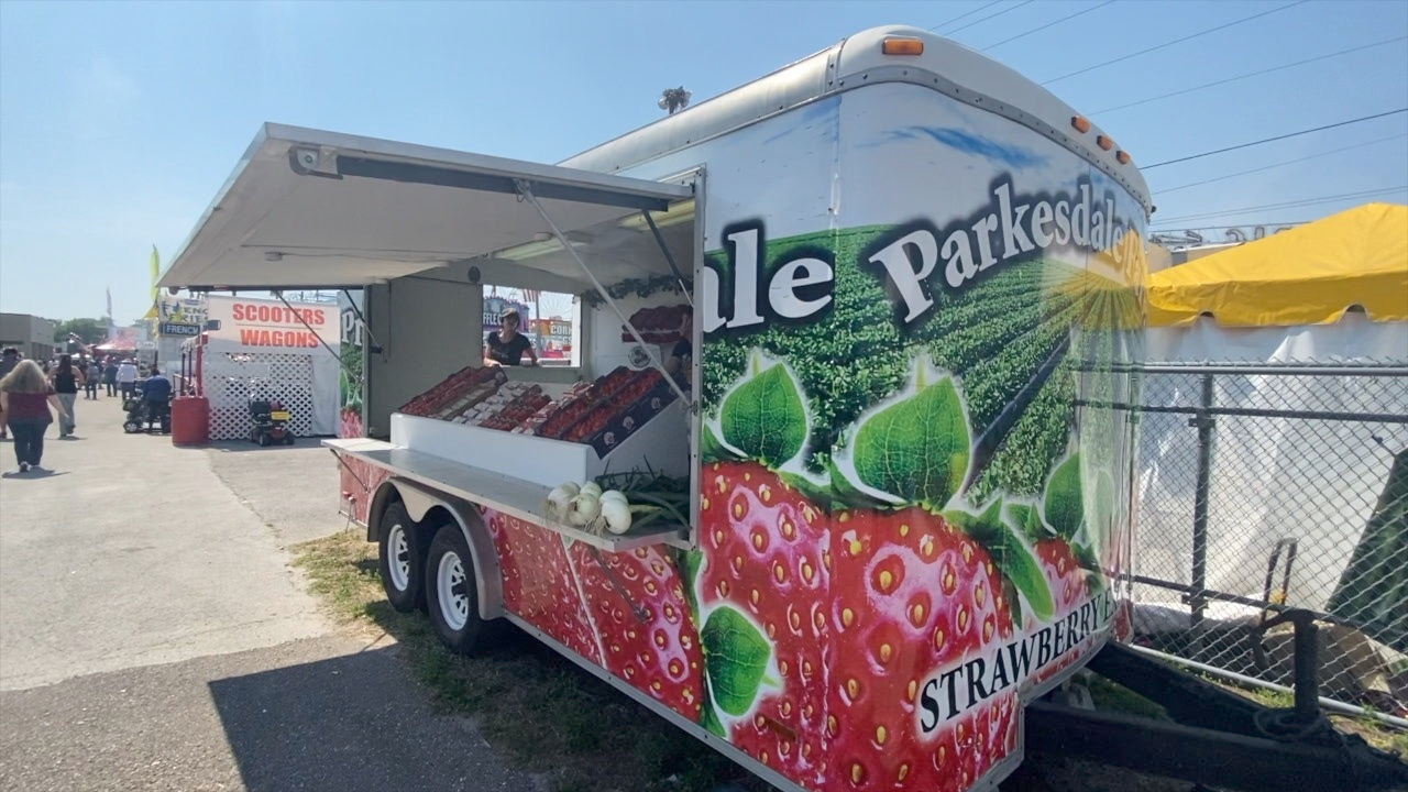 Florida strawberry farmers